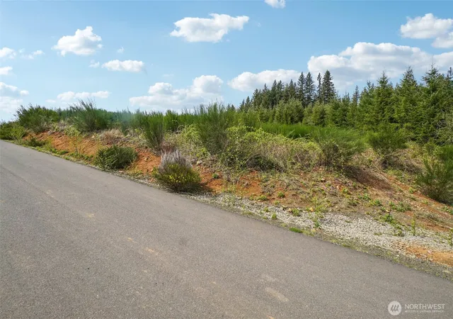 Photo 3 of Land for sale at 181 High Bank Ln, Woodland, WA 98674 | MLS# NWM2511449 | Listing updated on 2026-09-21