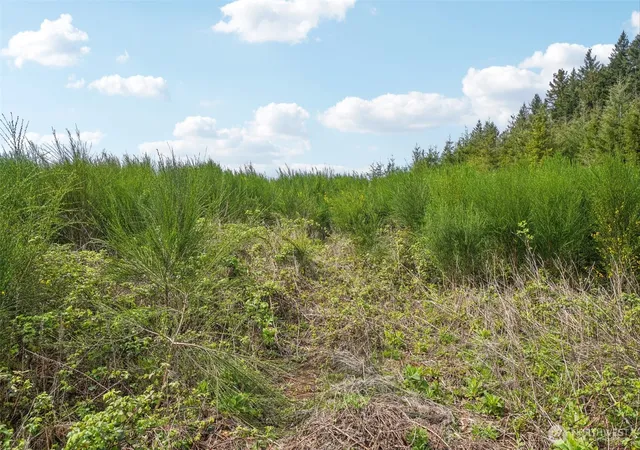 Photo 4 of Land for sale at 181 High Bank Ln, Woodland, WA 98674 | MLS# NWM2511449 | Listing updated on 2026-09-21