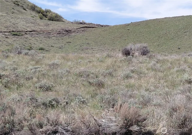 Photo 4 of Land for sale at 272 Mountain Spring Rd, Orondo, WA 98843 | MLS# NWM2511526 | Listing updated on 2026-09-21