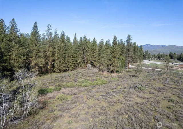 Photo 3 of Land for sale at 9 Tbd Cascadian Way, Winthrop, WA 98862 | MLS# NWM2511901 | Listing updated on 2026-09-21