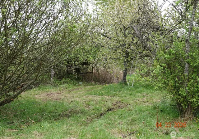 Photo 3 of Land for sale at 11703 34th Avenue E, Tacoma, WA 98446 | MLS# NWM2511919 | Listing updated on 2026-10-01