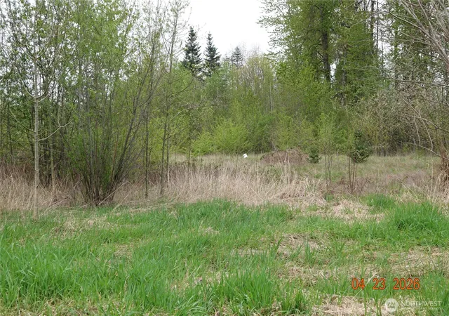 Photo 4 of Land for sale at 11703 34th Avenue E, Tacoma, WA 98446 | MLS# NWM2511919 | Listing updated on 2026-10-01
