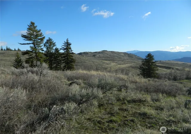 Photo 1 of Land for sale at 0 Tbd Ellemeham Ridge Rd, Tonasket, WA 98855 | MLS# NWM2511997 | Listing updated on 2026-09-21