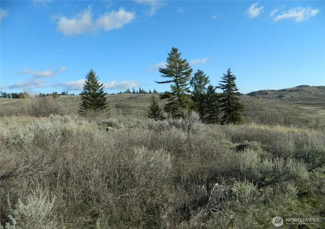 Photo 2 of Land for sale at 0 Tbd Ellemeham Ridge Rd, Tonasket, WA 98855 | MLS# NWM2511997 | Listing updated on 2026-09-21