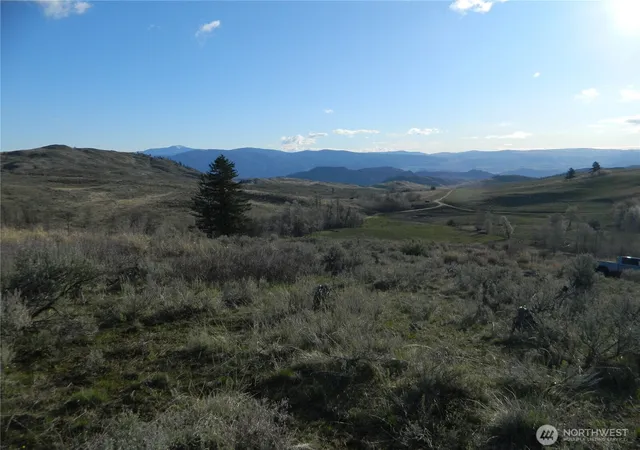 Photo 3 of Land for sale at 0 Tbd Ellemeham Ridge Rd, Tonasket, WA 98855 | MLS# NWM2511997 | Listing updated on 2026-09-21