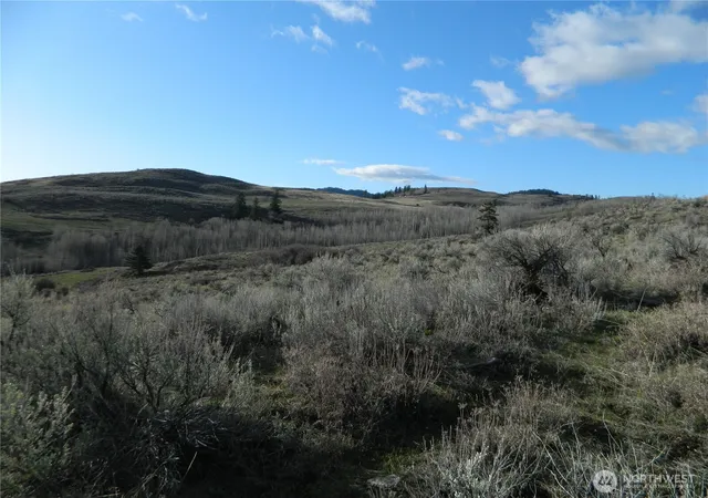 Photo 3 of Land for sale at 0 Tbd Ellemeham Ridge Rd, Tonasket, WA 98855 | MLS# NWM2511997 | Listing updated on 2026-09-21