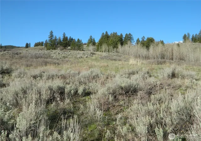 Photo 4 of Land for sale at 0 Tbd Ellemeham Ridge Rd, Tonasket, WA 98855 | MLS# NWM2511997 | Listing updated on 2026-09-21