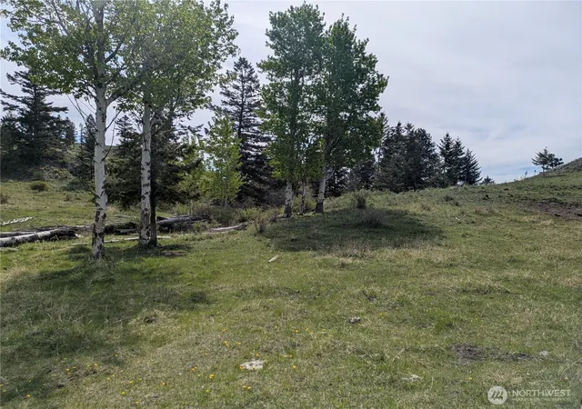 Photo 2 of Land for sale at 84 1/2 Pratt Rd, Oroville, WA 98844 | MLS# NWM2512116 | Listing updated on 2026-09-21