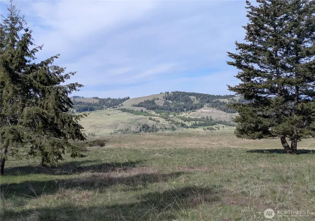 Photo 3 of Land for sale at 84 1/2 Pratt Rd, Oroville, WA 98844 | MLS# NWM2512116 | Listing updated on 2026-09-21