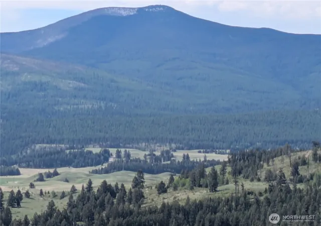 Photo 3 of Land for sale at 84 1/2 Pratt Rd, Oroville, WA 98844 | MLS# NWM2512116 | Listing updated on 2026-09-21