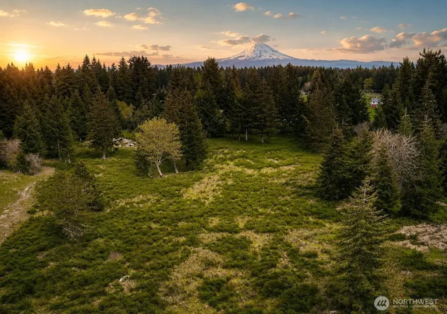 Photo 1 of Land for sale at 14543 Lindsay Loop Se, Yelm, WA 98597 | MLS# NWM2512427 | Listing updated on 2026-09-21
