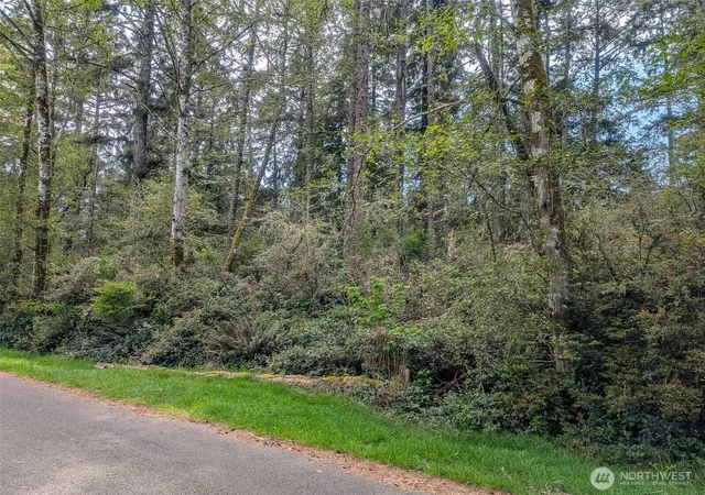 Photo 2 of Land for sale at 757 Evergreen Ave Se, Ocean Shores, WA 98569 | MLS# NWM2512670 | Listing updated on 2026-09-21