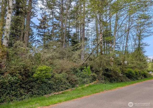 Photo 4 of Land for sale at 757 Evergreen Ave SE, Ocean Shores, WA 98569 | MLS# NWM2512670 | Listing updated on 2026-09-21