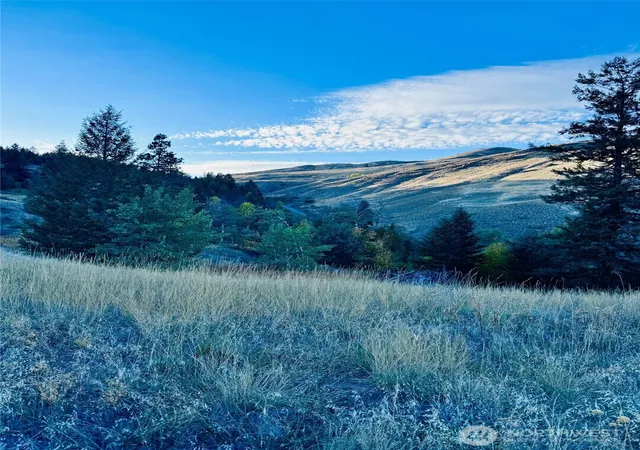 Photo 2 of Land for sale at 11 Gafvery Crk Rd, Oroville, WA 98844 | MLS# NWM2512952 | Listing updated on 2026-09-21