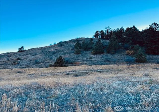 Photo 3 of Land for sale at 11 Gafvery Crk Rd, Oroville, WA 98844 | MLS# NWM2512952 | Listing updated on 2026-09-21