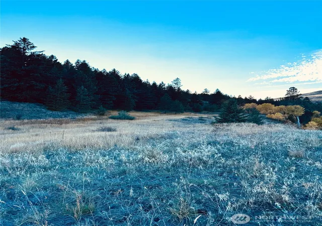 Photo 4 of Land for sale at 11 Gafvery Crk Rd, Oroville, WA 98844 | MLS# NWM2512952 | Listing updated on 2026-09-21