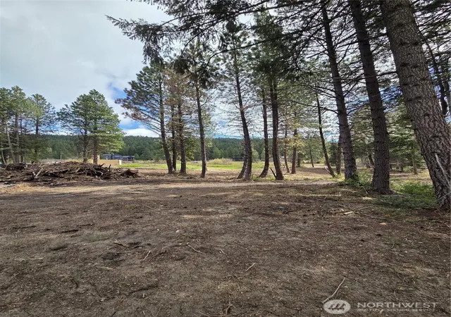 Photo 4 of Land for sale at 3 Double O Rd, Ronald, WA 98940 | MLS# NWM2512989 | Listing updated on 2026-09-21
