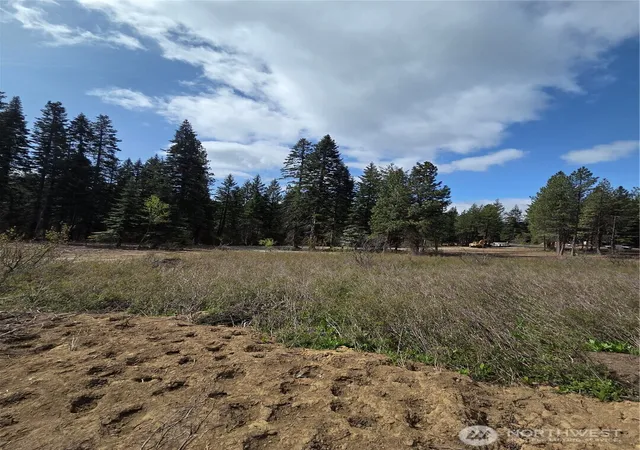 Photo 1 of Land for sale at 5 Double O Rd, Ronald, WA 98940 | MLS# NWM2512991 | Listing updated on 2026-09-21
