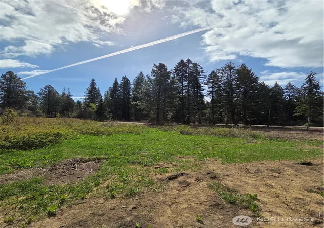 Photo 2 of Land for sale at 5 Double O Rd, Ronald, WA 98940 | MLS# NWM2512991 | Listing updated on 2026-09-21