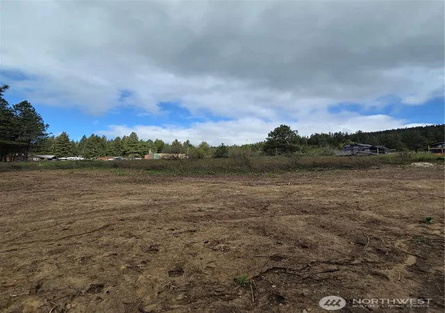 Photo 4 of Land for sale at 5 Double O Rd, Ronald, WA 98940 | MLS# NWM2512991 | Listing updated on 2026-09-21