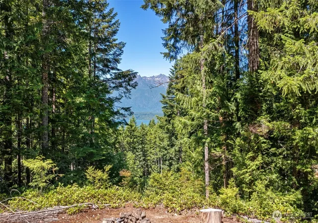 Photo 4 of Land for sale at 5154 N Lake Cushman Rd, Hoodsport, WA 98548 | MLS# NWM2513063 | Listing updated on 2026-07-09