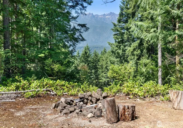 Photo 3 of Land for sale at 5154 N Lake Cushman Rd, Hoodsport, WA 98548 | MLS# NWM2513063 | Listing updated on 2026-07-09