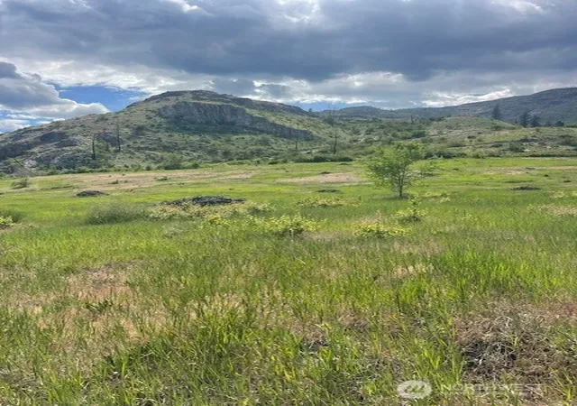 Photo 1 of Land for sale at 2 Lot 2 Black Cyn Rd, Pateros, WA 98846 | MLS# NWM2513101 | Listing updated on 2026-09-21