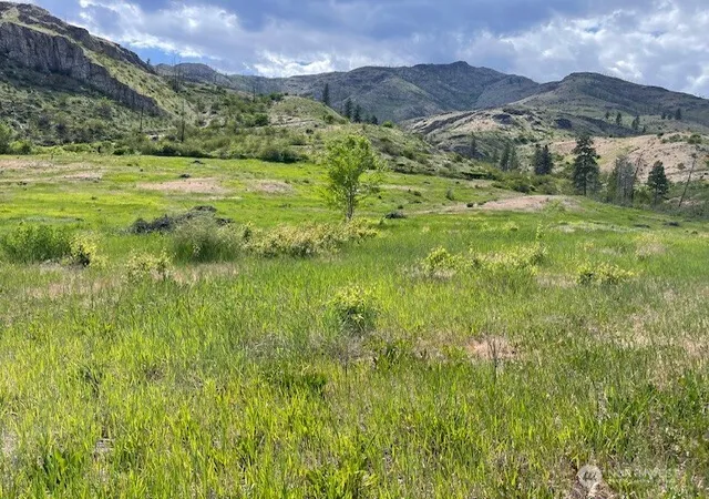 Photo 2 of Land for sale at 2 Lot 2 Black Cyn Rd, Pateros, WA 98846 | MLS# NWM2513101 | Listing updated on 2026-09-21