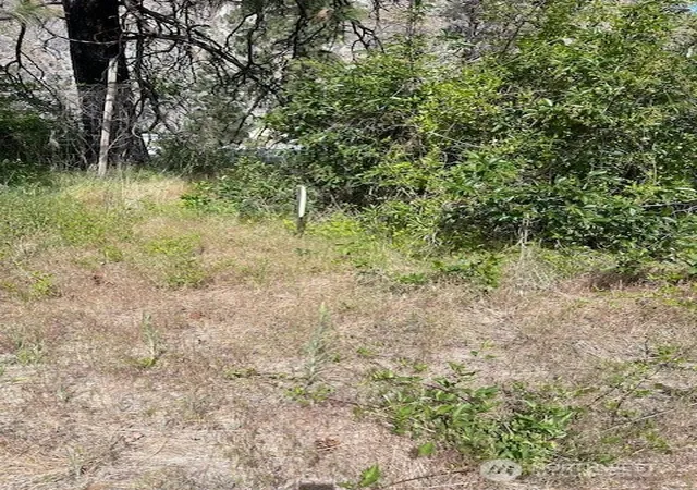 Photo 4 of Land for sale at 2 Lot 2 Black Cyn Rd, Pateros, WA 98846 | MLS# NWM2513101 | Listing updated on 2026-09-21