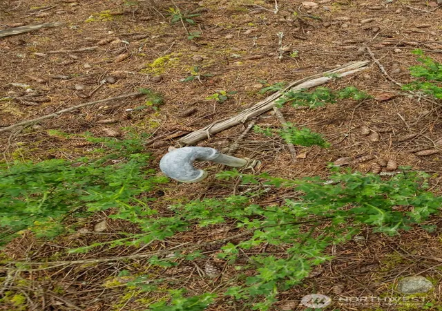 Photo 4 of Land for sale at 226 S Oyster Bay Ave, Bremerton, WA 98312 | MLS# NWM2513438 | Listing updated on 2026-09-21