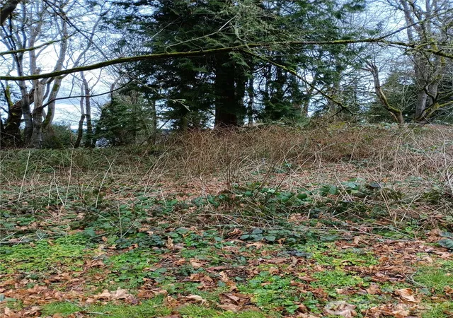 Photo 2 of Land for sale at 111 M Crst Pl, Hat Island, WA 98206 | MLS# NWM2513448 | Listing updated on 2026-09-21