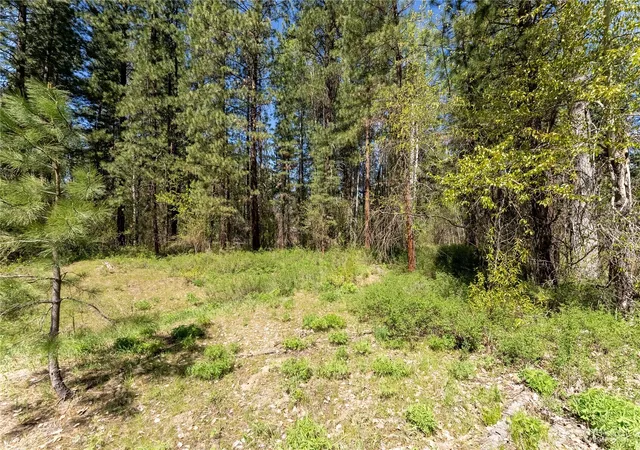 Photo 3 of Land for sale at 19 Green Rd, Winthrop, WA 98862 | MLS# NWM2513466 | Listing updated on 2026-09-21