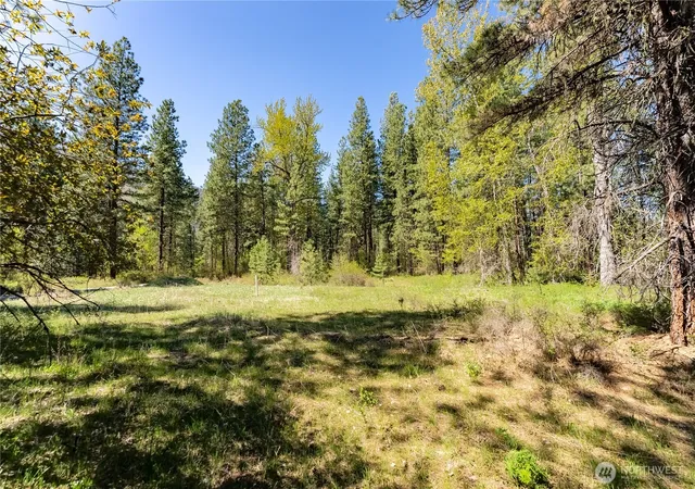 Photo 4 of Land for sale at 19 Green Rd, Winthrop, WA 98862 | MLS# NWM2513466 | Listing updated on 2026-09-21