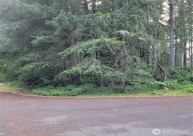 Photo 1 of Land for sale at 8922 129th Avenue Ct, Anderson Island, WA 98303 | MLS# NWM2513493 | Listing updated on 2026-09-21