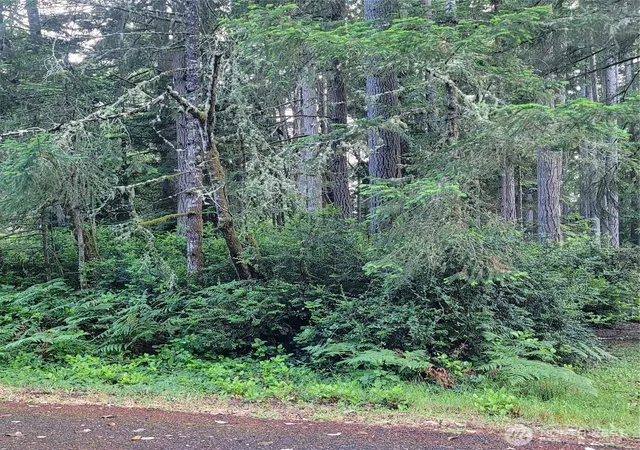 Photo 2 of Land for sale at 8922 129th Avenue Ct, Anderson Island, WA 98303 | MLS# NWM2513493 | Listing updated on 2026-09-21