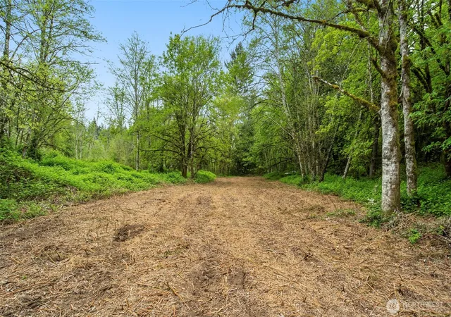 Photo 1 of Land for sale at 2 Ne Lewisville Hwy, Yacolt, WA 98675 | MLS# NWM2513559 | Listing updated on 2026-09-21