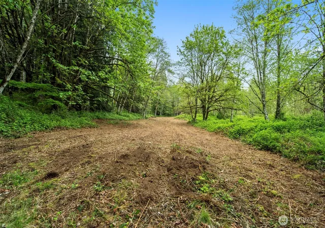 Photo 2 of Land for sale at 2 Ne Lewisville Hwy, Yacolt, WA 98675 | MLS# NWM2513559 | Listing updated on 2026-09-21