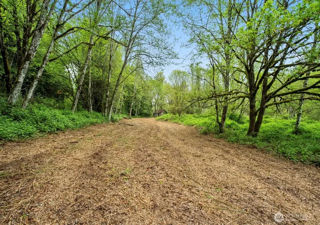 Photo 3 of Land for sale at 2 Ne Lewisville Hwy, Yacolt, WA 98675 | MLS# NWM2513559 | Listing updated on 2026-09-21