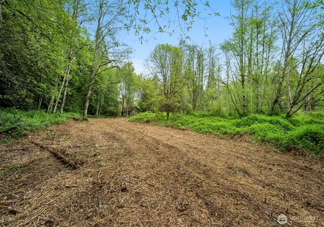 Photo 3 of Land for sale at 2 NE Lewisville Hwy, Yacolt, WA 98675 | MLS# NWM2513559 | Listing updated on 2026-09-21