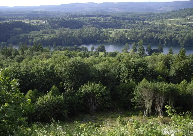 Photo 1 of Land for sale at 2 Birley Rd, Mossyrock, WA 98564 | MLS# NWM2513688 | Listing updated on 2026-09-21