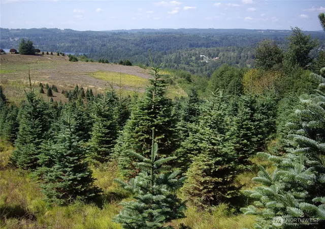 Photo 3 of Land for sale at 2 Birley Rd, Mossyrock, WA 98564 | MLS# NWM2513688 | Listing updated on 2026-09-21