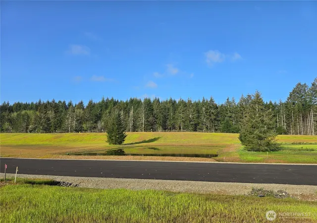Photo 1 of Land for sale at 120 E Virgil Dr W, Allyn, WA 98524 | MLS# NWM2513706 | Listing updated on 2026-09-21