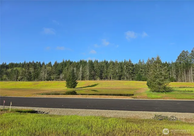 Photo 2 of Land for sale at 130 E Virgil Dr W, Allyn, WA 98524 | MLS# NWM2513707 | Listing updated on 2026-09-21