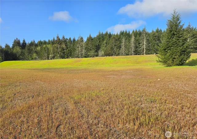 Photo 1 of Land for sale at 91 E Virgil Dr W, Allyn, WA 98524 | MLS# NWM2513710 | Listing updated on 2026-09-21