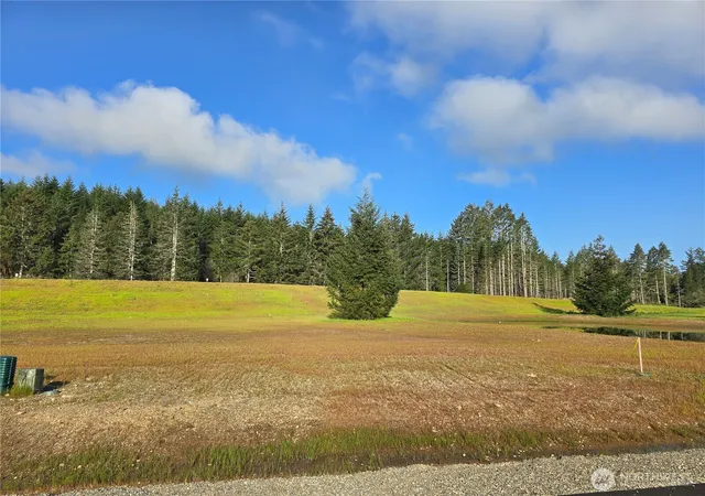 Photo 2 of Land for sale at 91 E Virgil Dr W, Allyn, WA 98524 | MLS# NWM2513710 | Listing updated on 2026-09-21