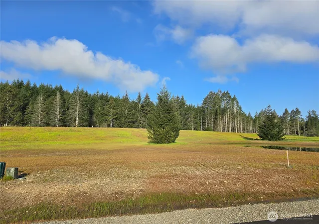 Photo 3 of Land for sale at 91 E Virgil Dr W, Allyn, WA 98524 | MLS# NWM2513710 | Listing updated on 2026-09-21