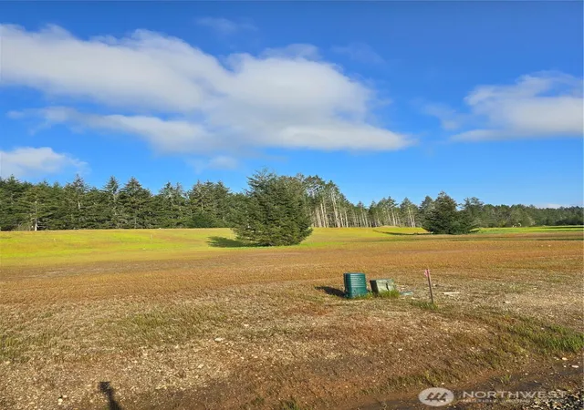 Photo 3 of Land for sale at 91 E Virgil Dr W, Allyn, WA 98524 | MLS# NWM2513710 | Listing updated on 2026-09-21