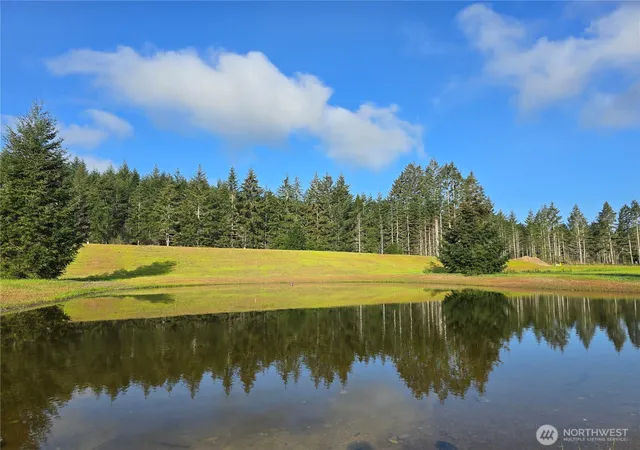 Photo 4 of Land for sale at 91 E Virgil Dr W, Allyn, WA 98524 | MLS# NWM2513710 | Listing updated on 2026-09-21