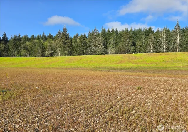 Photo 1 of Land for sale at 71 E Virgil Dr W, Allyn, WA 98524 | MLS# NWM2513712 | Listing updated on 2026-09-21