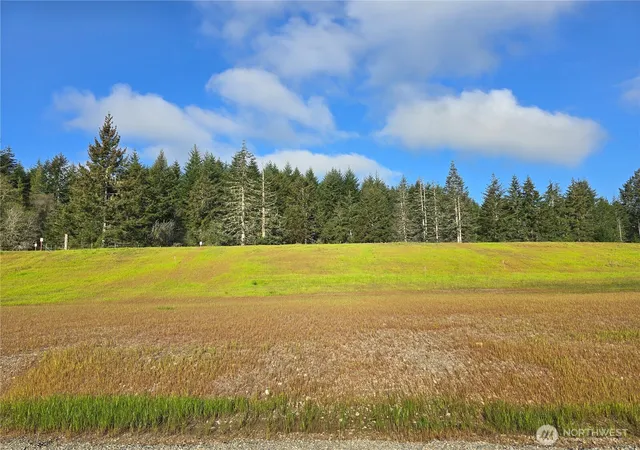 Photo 2 of Land for sale at 61 E Virgil Dr W, Allyn, WA 98524 | MLS# NWM2513714 | Listing updated on 2026-09-21